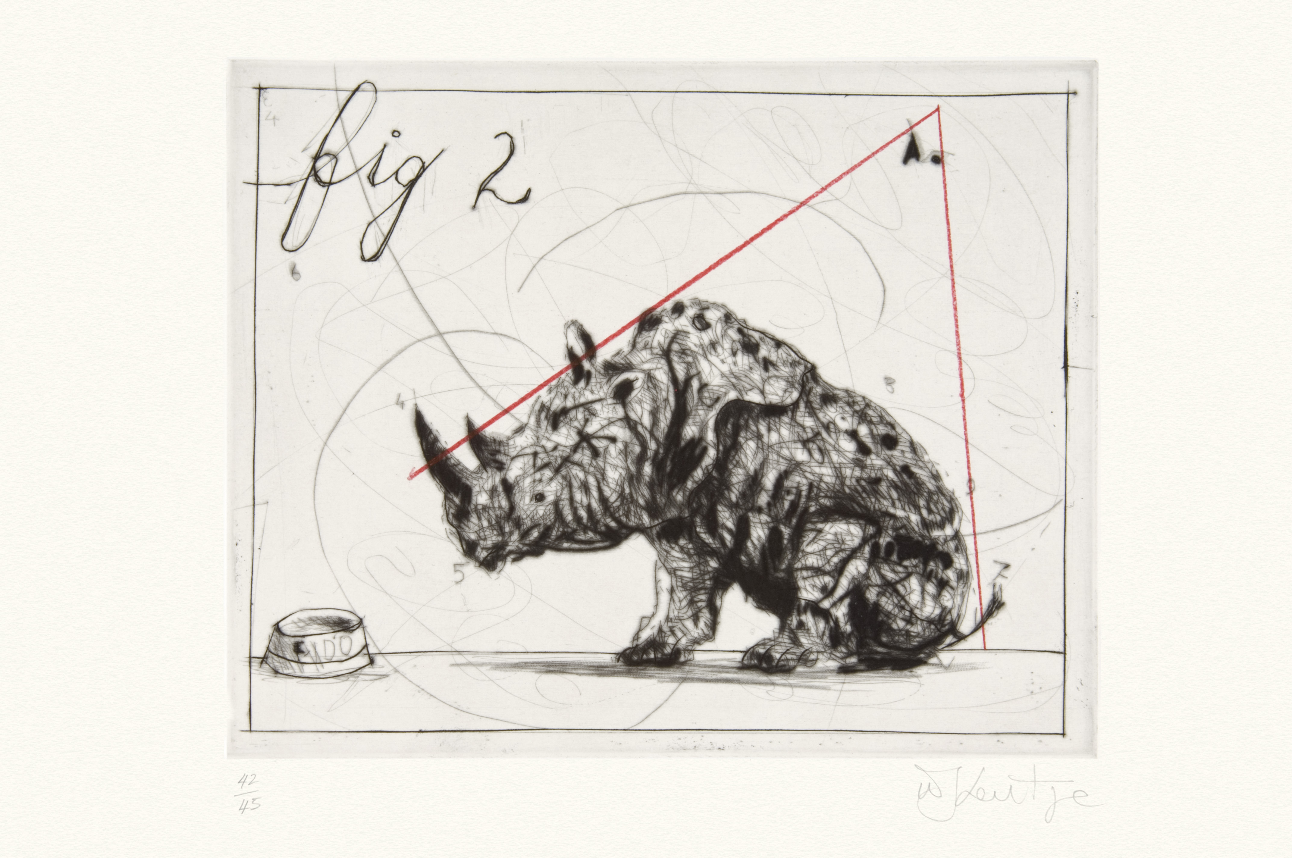 Three Rhinos, Fig. 2 Dunce